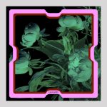 ELISHA ABARGEL PRINTED SCARF