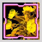 ELISHA ABARGEL PRINTED SCARF