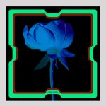 ELISHA ABARGEL PRINTED SCARF